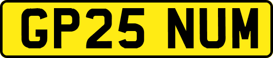 GP25NUM