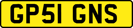 GP51GNS