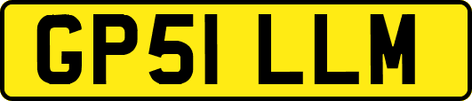 GP51LLM