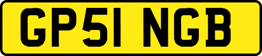GP51NGB