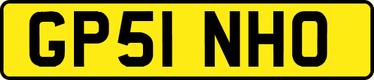 GP51NHO