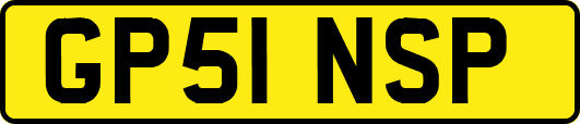 GP51NSP