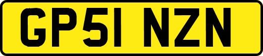 GP51NZN