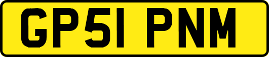 GP51PNM