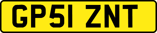 GP51ZNT