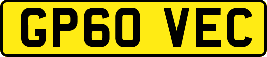 GP60VEC