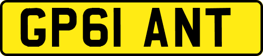 GP61ANT