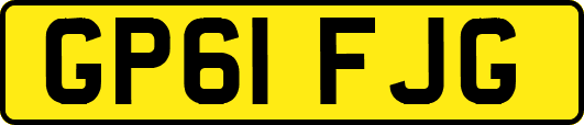 GP61FJG