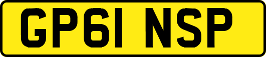 GP61NSP