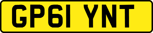 GP61YNT
