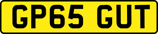 GP65GUT