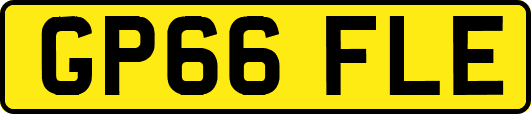 GP66FLE