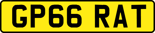 GP66RAT