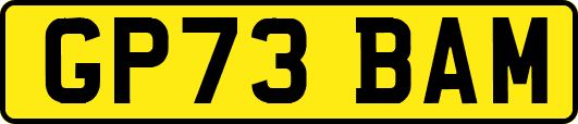 GP73BAM