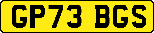 GP73BGS