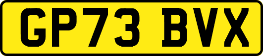 GP73BVX