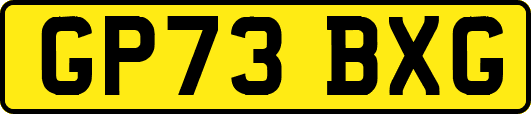 GP73BXG