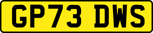 GP73DWS