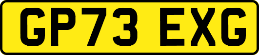 GP73EXG