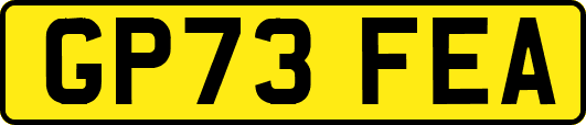 GP73FEA