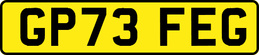 GP73FEG