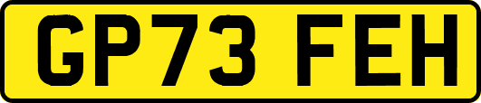 GP73FEH