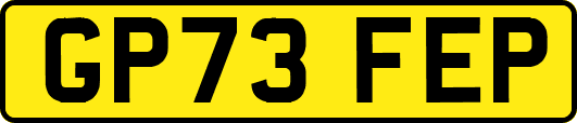 GP73FEP