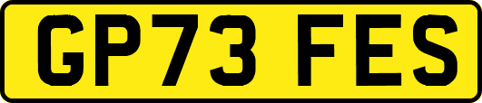 GP73FES