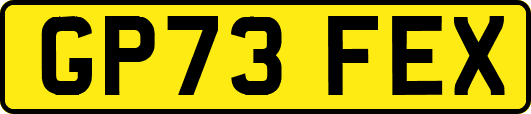 GP73FEX