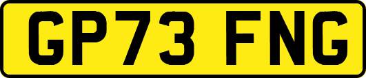 GP73FNG