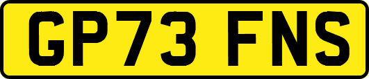 GP73FNS