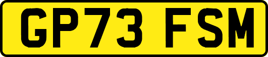 GP73FSM