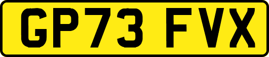 GP73FVX