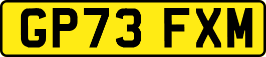 GP73FXM