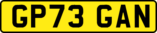 GP73GAN