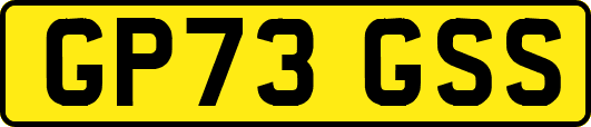 GP73GSS