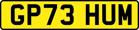 GP73HUM