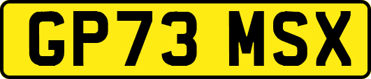 GP73MSX