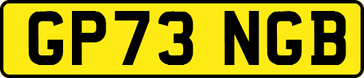 GP73NGB