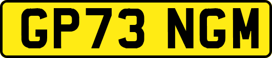GP73NGM
