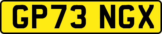 GP73NGX