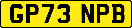 GP73NPB