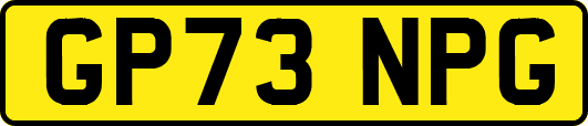 GP73NPG