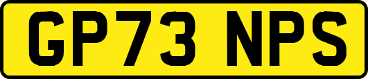 GP73NPS