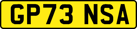 GP73NSA