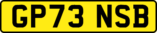 GP73NSB