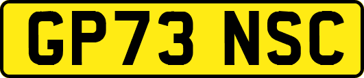 GP73NSC