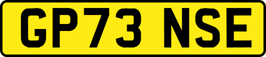 GP73NSE