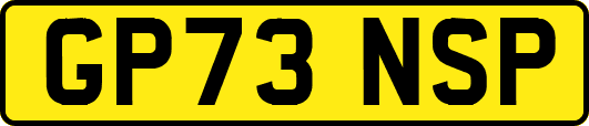 GP73NSP