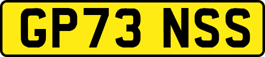 GP73NSS